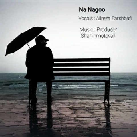 Alireza Farshbafi   –   Na Nagoo